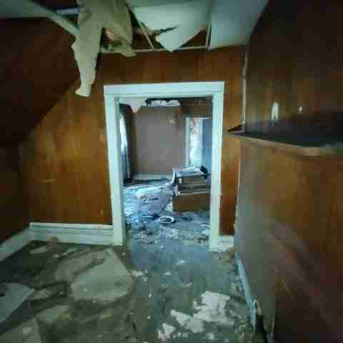 8031 conger (23).jpg